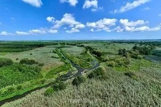آغاز عملیات اضطراری برای نجات تالاب بین‌المللی انزلی؛ تأکید بر احیای علمی و حمایت از جوامع محلی
