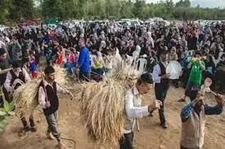 برگزاری آئین سنتی جشن خرمن ۱۵۰ ساله در میاندورود
