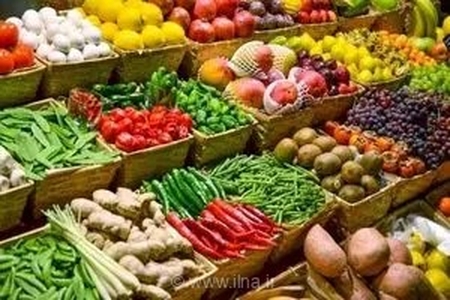 تأکید رئیس جهاد کشاورزی چهارمحال و بختیاری بر تغذیه متعادل گیاهان برای افزایش تولید و کیفیت محصولات