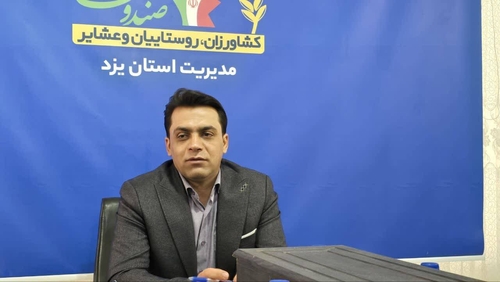 پوشش بیمه رایگان برای مادران دارای سه فرزند و بیشتر در یزد