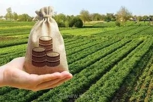 ناهمخوانی تکالیف با منابع مالی پیش‌بینی شده چالش بخش کشاورزی استان مرکزی