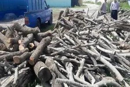 انهدام مخفیگاه قاچاقچیان چوب در بخش کجور استان مازندران