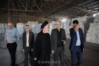 هشدار مجلس به دولت: تأخیر در پرداخت مطالبات گندم‌کاران انگیزه تولید ملی را به شدت کاهش داده است