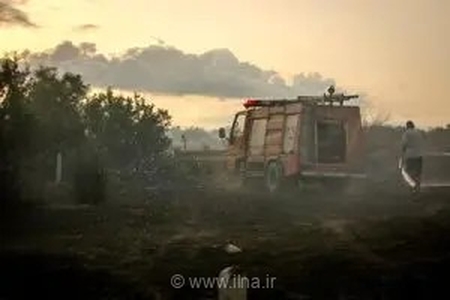 تکرار فاجعه در میانکاله؛ دهمین آتش‌سوزی ماه اخیر با اعزام بالگرد و نیروهای امدادی در حال مهار است