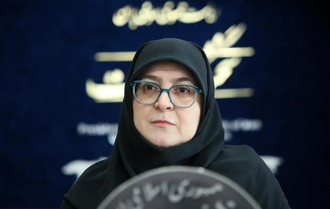 سخنگوی دولت: امنیت اجتماعی بدون توجه به رفاه عمومی محقق نمی‌شود