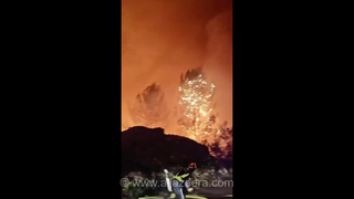 آتش‌سوزی گسترده در جزیره براچ کرواسی؛ اعلام وضعیت اضطراری
