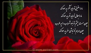 امروز با مولوی: چو هَمرهَم تو نباشی، سفر چه سُود کند