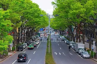 چرا لندکروز در ژاپن طرفدار چندانی ندارد؟