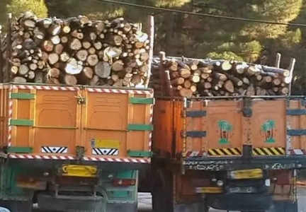 دستگیری قاچاقچیان چوب در مازندران و کشف محموله جنگلی