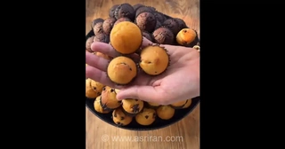 ایده‌هایی برای میان‌وعده‌های سالم و متنوع دانش‌آموزان