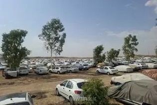 بسیج حداکثری ناوگان حمل‌ونقل عمومی در مرز خسروی برای تسهیل بازگشت زائران اربعین حسینی