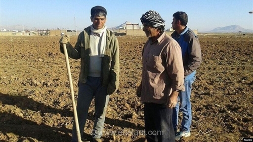 شوک قیمتی به کشاورزان؛ جهش هفت برابری نرخ کود شیمیایی و ناکارآمدی یارانه‌های دولتی در حمایت از تولید