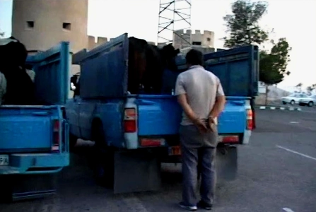 انهدام باند سارقان مسلح احشام در مازندران و کشف اموال سرقتی