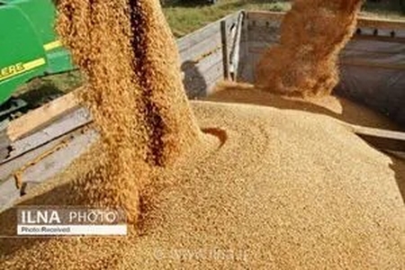هیچ کمبودی در زمینه نهاد‌های دامی در کشور وجود ندارد