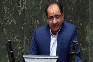 انتقاد از خوداظهاری خودروسازان در واردات خودرو؛ کمیسیون صنایع وارد عمل می‌شود