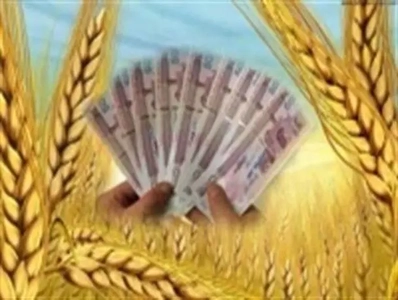 تأخیر در پرداخت مطالبات گندمکاران مشمول جریمه شود