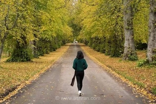 چند قدم پیاده‌روی در روز برای سلامتی کافی است؟ بررسی جدیدترین پژوهش‌ها