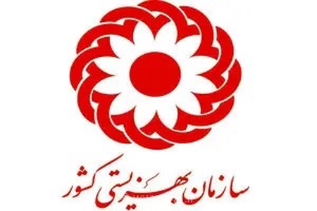 رشد ۱۰۰ درصدی مستمری لوازم بهداشتی معلولان؛ ارائه ۱۷۰ خدمت تخصصی توسط سازمان بهزیستی کشور