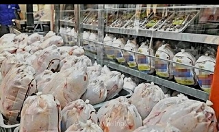۴۶۳ تن گوشت مرغ مازندران به تهران ارسال شد، توزیع گسترده در استان