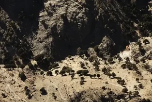 افغانستان حمله پاکستان به مرز را پاسخ داد