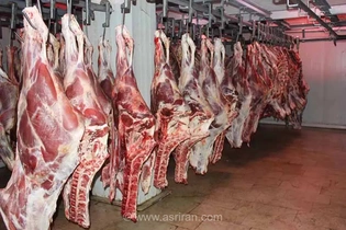 تسهیل فوری واردات گوشت و کالاهای اساسی؛ حذف تشریفات گمرکی و رفع محدودیت‌های ارزی برای تنظیم بازار