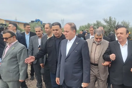 بازدید وزیر جهاد کشاورزی از مجموعه تولید و فرآوری زیتون در طارم