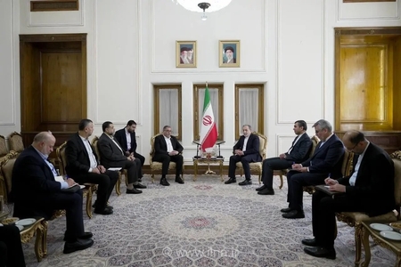 عراقچی: ایران از فلسطین حمایت قاطع می‌کند