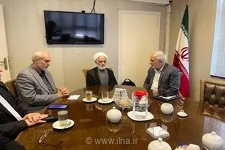 پیگیری طرح ساماندهی نیروهای شرکتی در کمیسیون اجتماعی مجلس