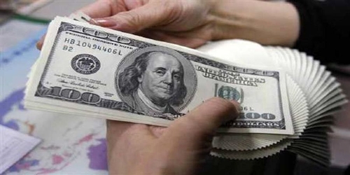 آیا فروش ۱۰ هزار دلار به هر کدملی سیاستی درست است؟ بررسی اثرات مداخله ارزی
