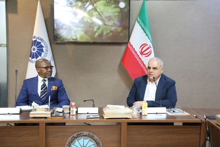 ظرفیت‌های اقتصادی ایران و آفریقای جنوبی فراتر از حجم مبادلات تجاری