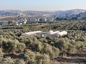 کشاورزان فلسطینی در کرانه باختری، ویرانی‌های ناشی از شهرک‌نشینان اسرائیلی را بازسازی می‌کنند