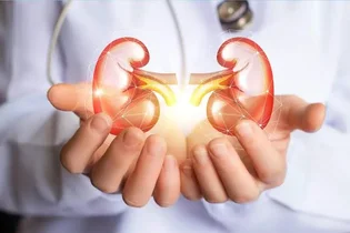 دفع سنگ کلیه با عرقیات: احتیاط و مشورت با پزشک ضروری است