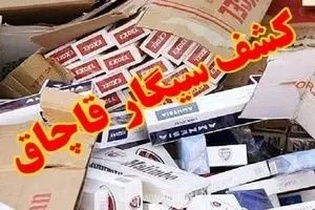 عملیات ضربتی پلیس قزوین؛ کشف محموله بزرگ ۲۰ هزار نخی سیگار قاچاق در یک باربری شهر