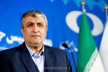 اتریش دلیل عدم صدور ویزا برای رئیس سازمان انرژی اتمی را توضیح داد