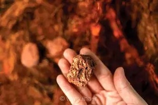 کاهش پیش‌بینی تولید مس آنتوفاگاستا به دلیل شرایط جوی و محدودیت عرضه جهانی