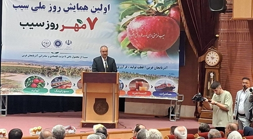رشد ۲۵ درصدی تولید سیب در آذربایجان غربی با وجود محدودیت‌های آبی