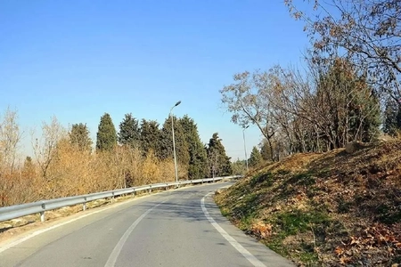 قطع ۳۵ هزار درخت در پارک سرخه حصار