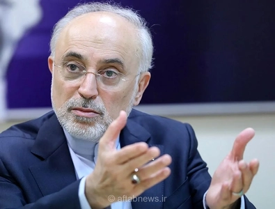 صالحی: جامعه‌ای که سؤال را جرم بداند، خلاق نیست